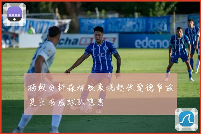 杨毅分析森林狼表现起伏爱德华兹复出或成球队隐患