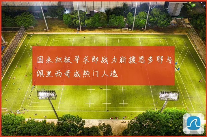 国米积极寻求即战力新援恩多耶与佩里西奇成热门人选