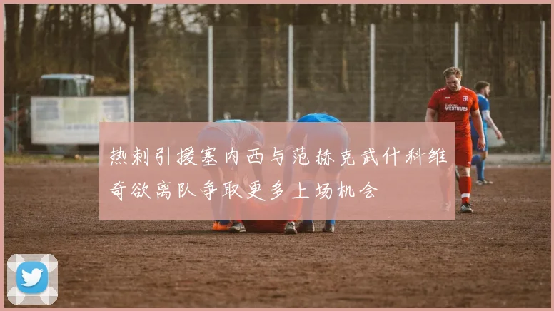 热刺引援塞内西与范赫克武什科维奇欲离队争取更多上场机会